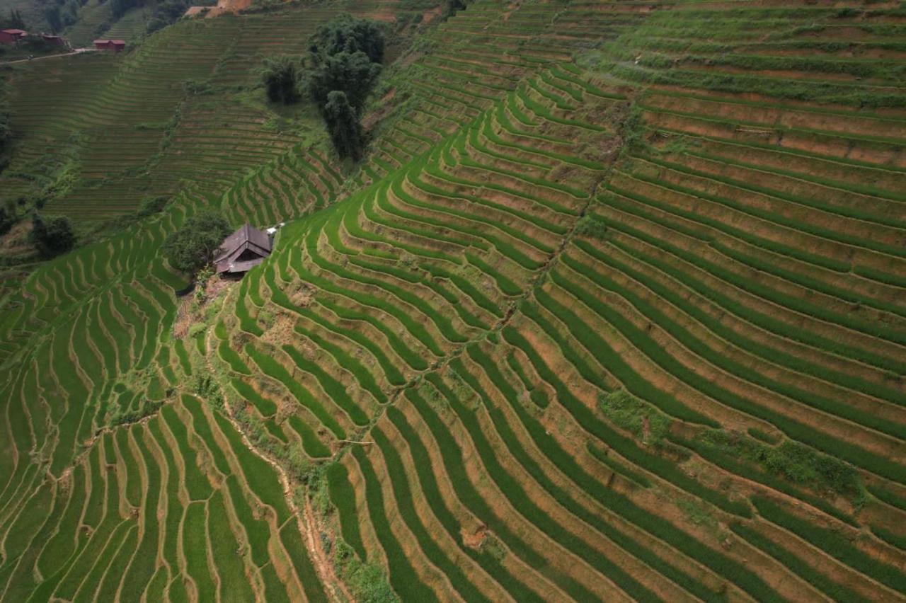 L'Auberge Des Amis Sapa Экстерьер фото